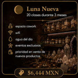 Luna Nueva
